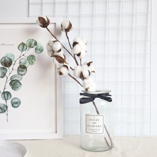 Naturally Dried Cotton Flowers