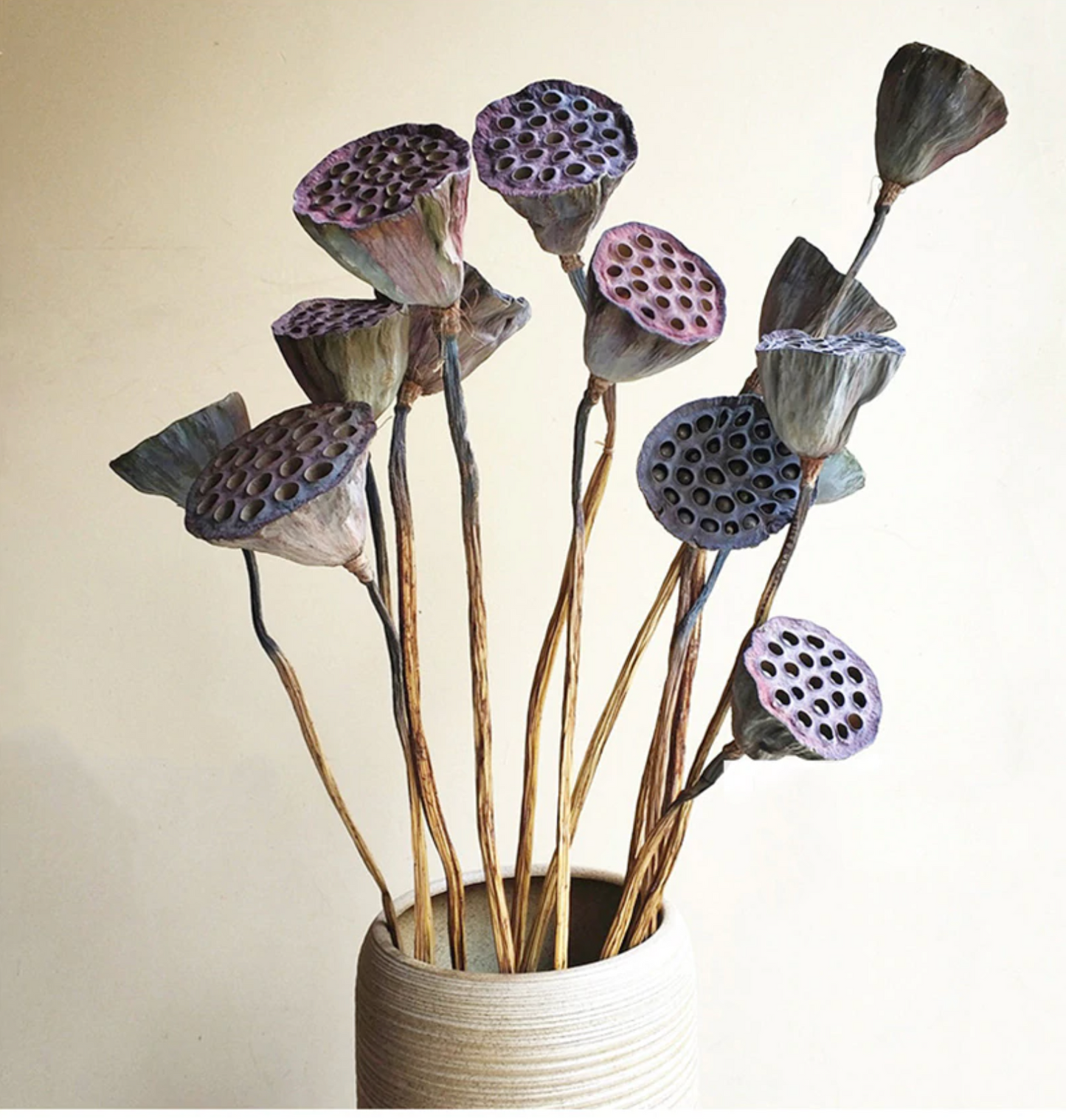 Natural Dried Lotus Root - 1 Pc