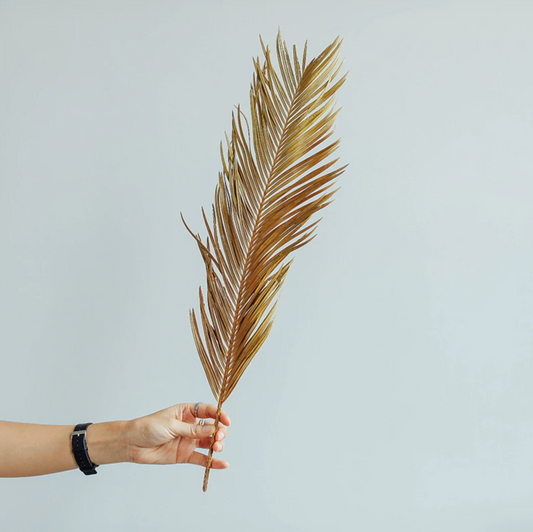 Fruticose Dracaena Leaf - 3PC